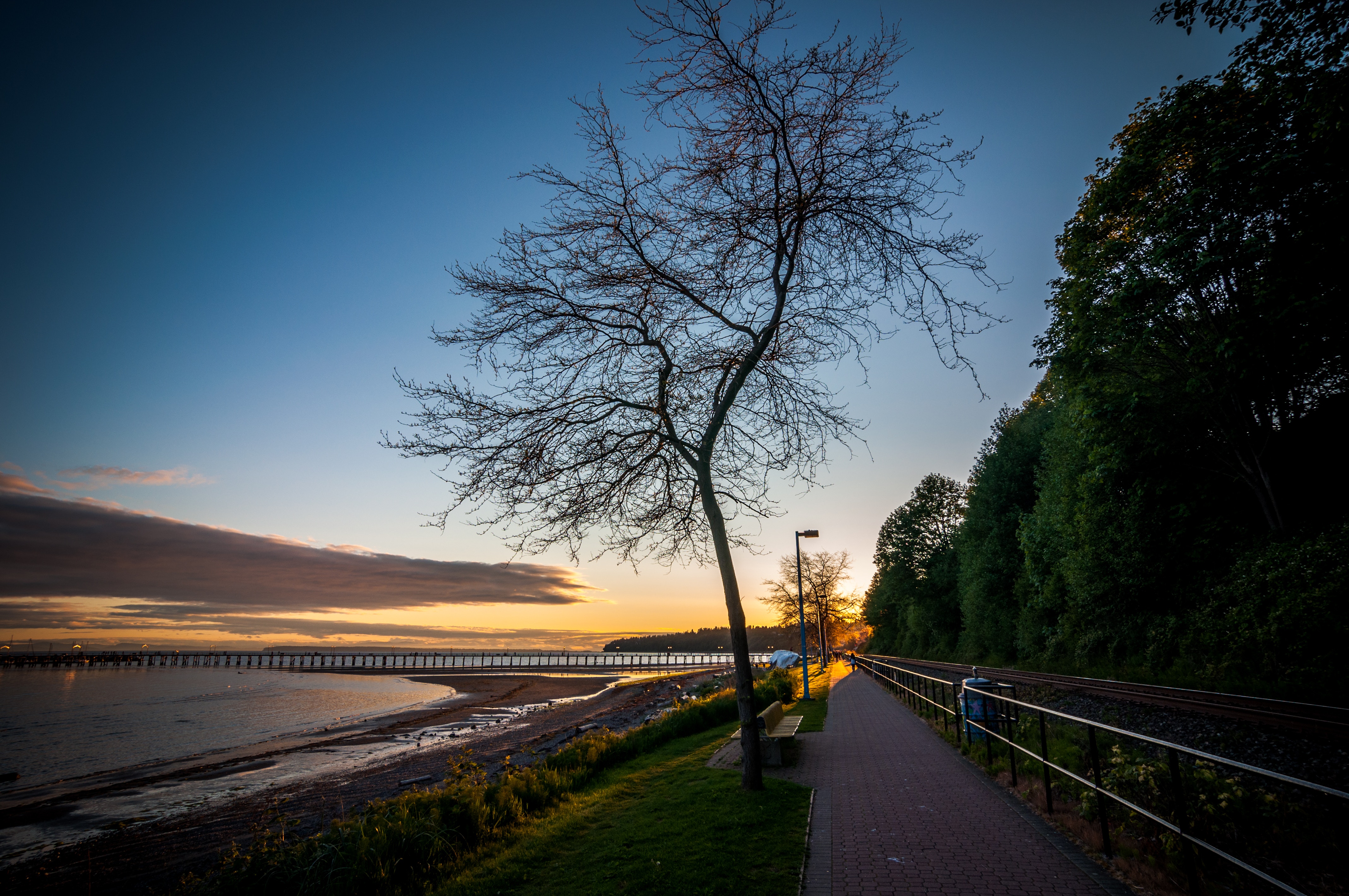 environment_management